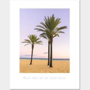 Serene Beachside Palms Posters and Art